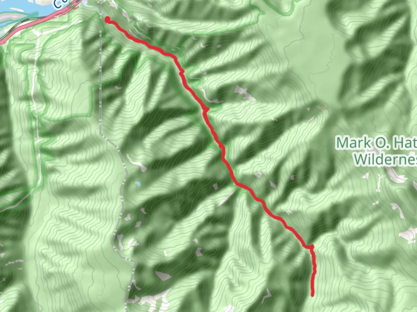 An image depicting the trail Eagle Creek Trail Out and Back and its surrounding area.