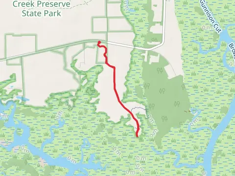 Swamp Walk