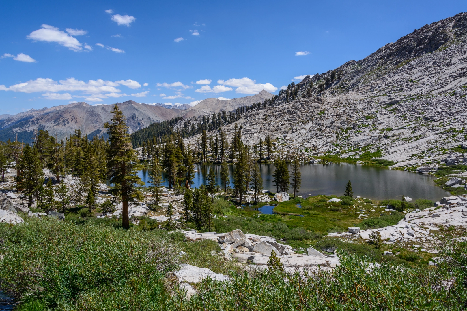 An image depicting the trail Mosquito Creek from Mineral King Road and its surrounding area.