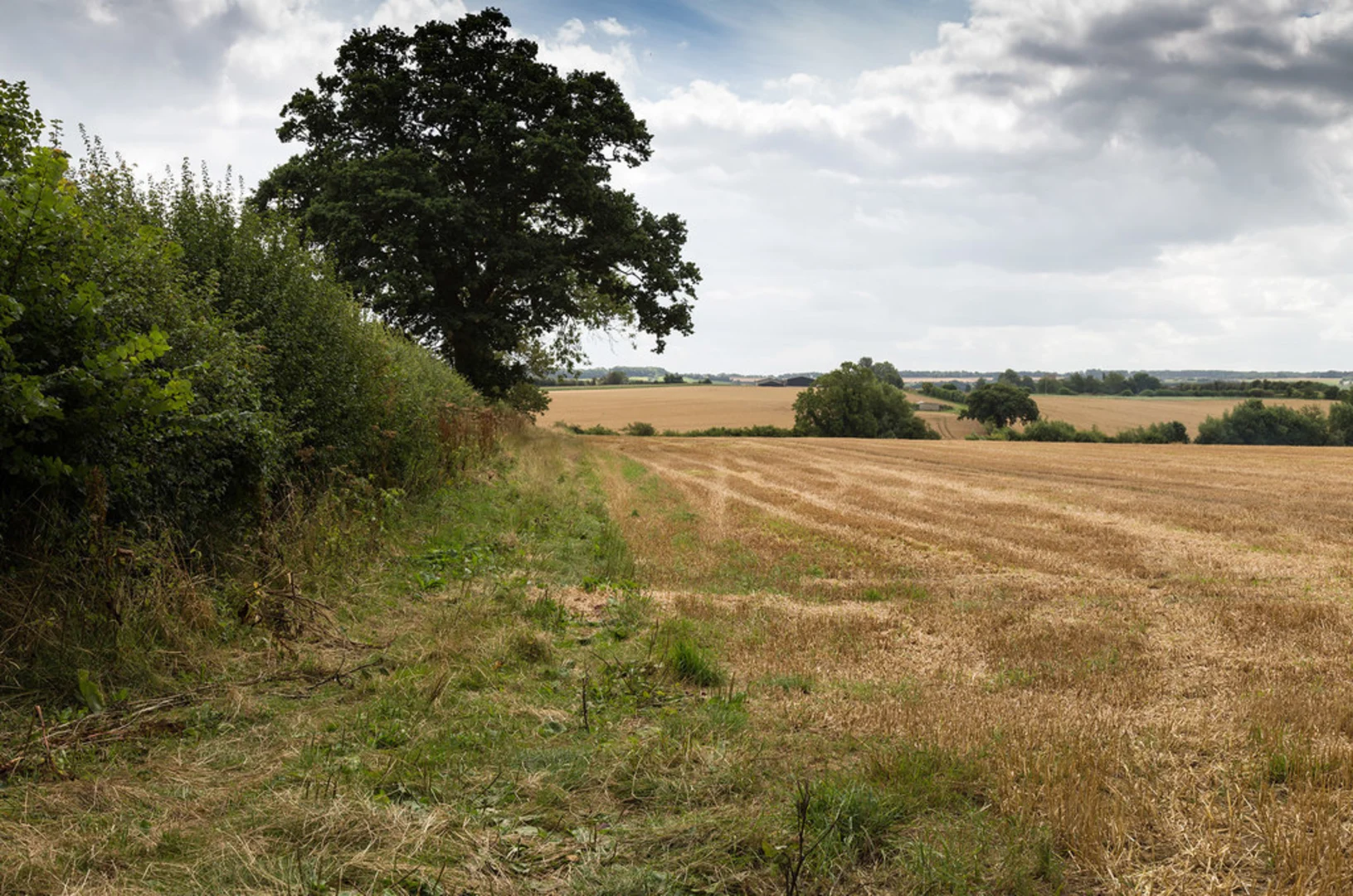 An image depicting the trail Chipping Campden and its surrounding area.