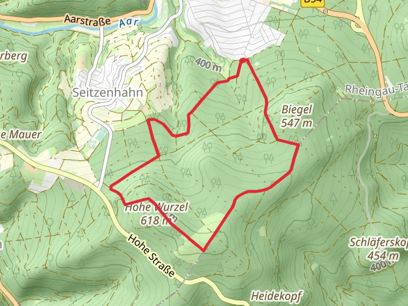 Rotes Quadrat and Fuchs Loop