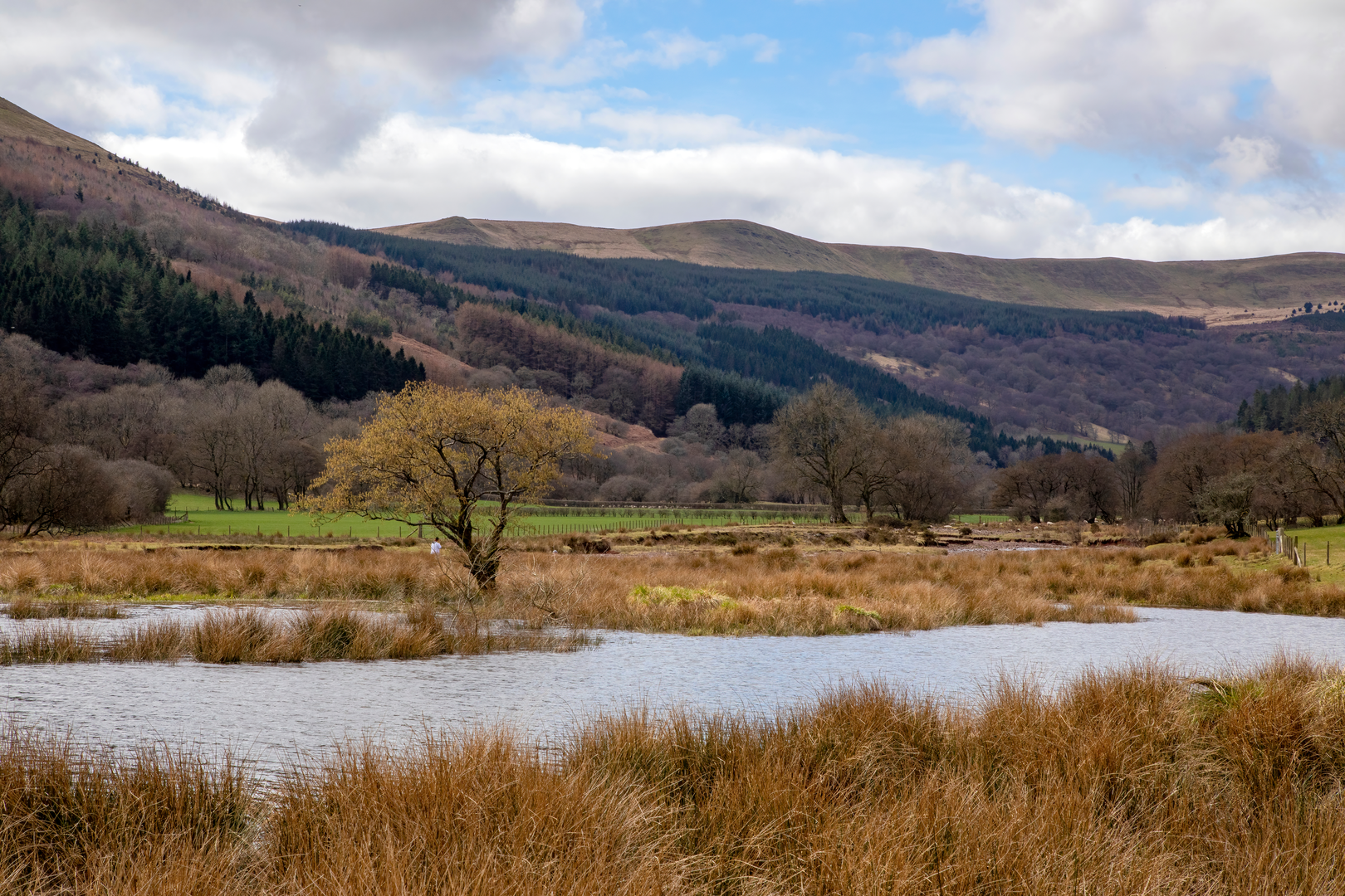 An image depicting the trail Brynich Lock to Talybont-on-Usk and its surrounding area.