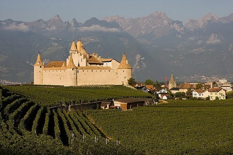 Aigle Vineyard Walk