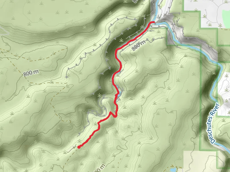Alder Springs Trail