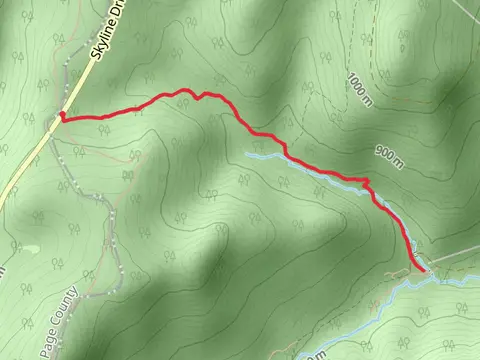 Mill Prong Trail from Milam Gap