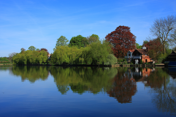 Cookham, River Thames, Merlins Mead and Cock Marsh Loop