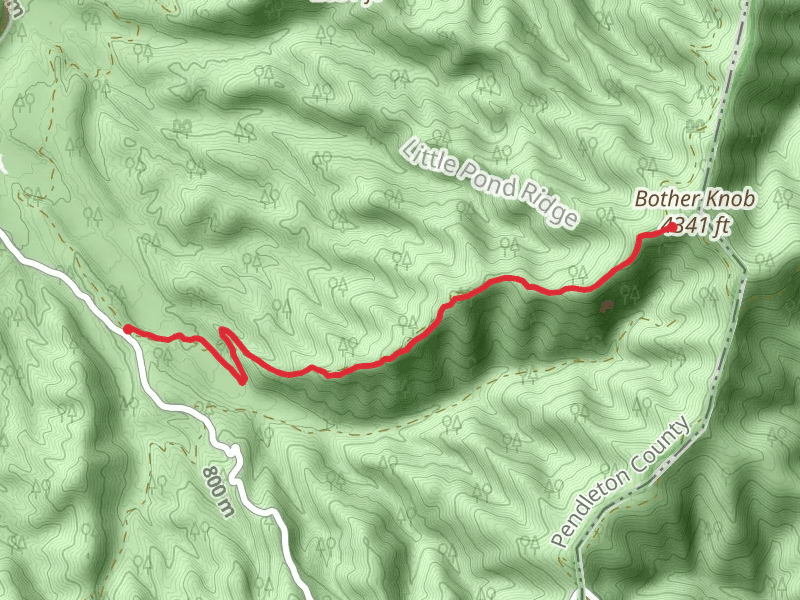 Bother Ridge Trail