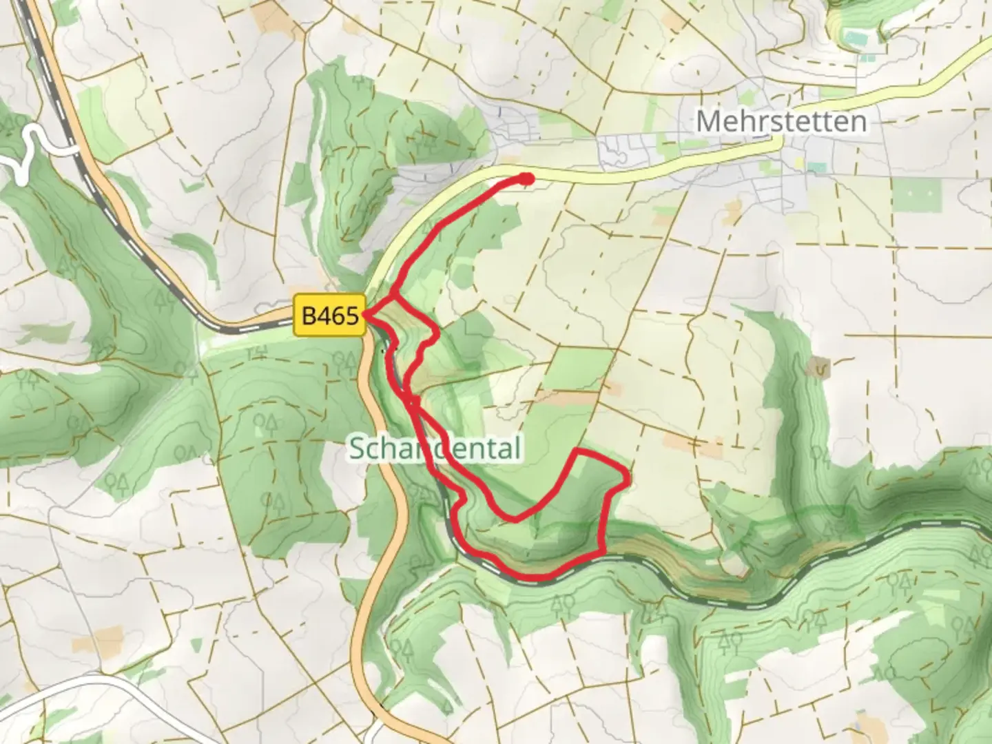 An image depicting the trail Nettenhalde Loop and its surrounding area.