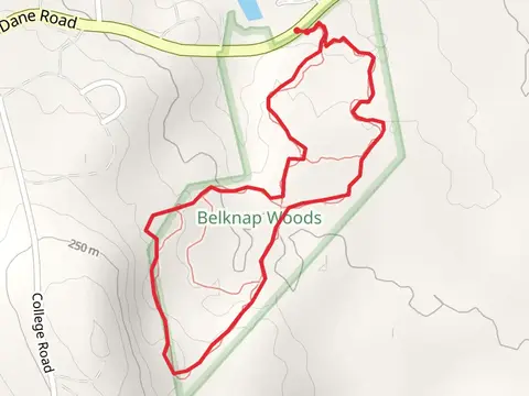 Plymouth Street Loop - South