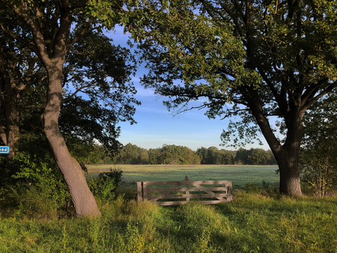 Havelte Oost, Holtingerveld and Booys Veen Loop