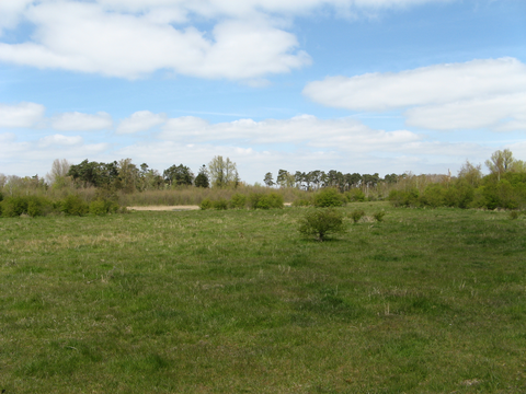 Braakmanpolder Loop