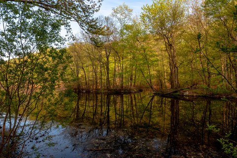 Pocantico River Trail, Thirteen Bridges and Eagle Hill Loop