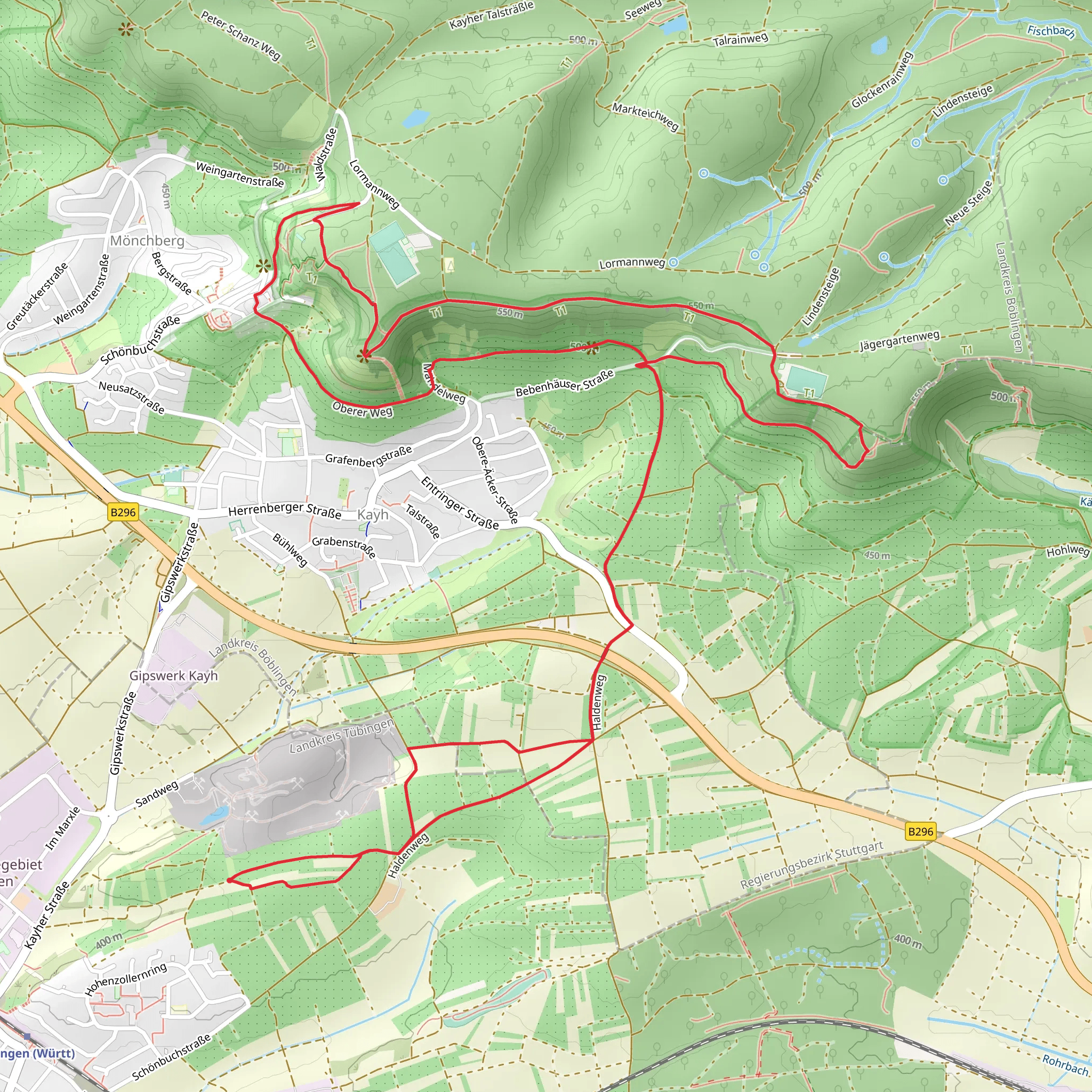 Grafenberg Loop from Altingen mobile static map