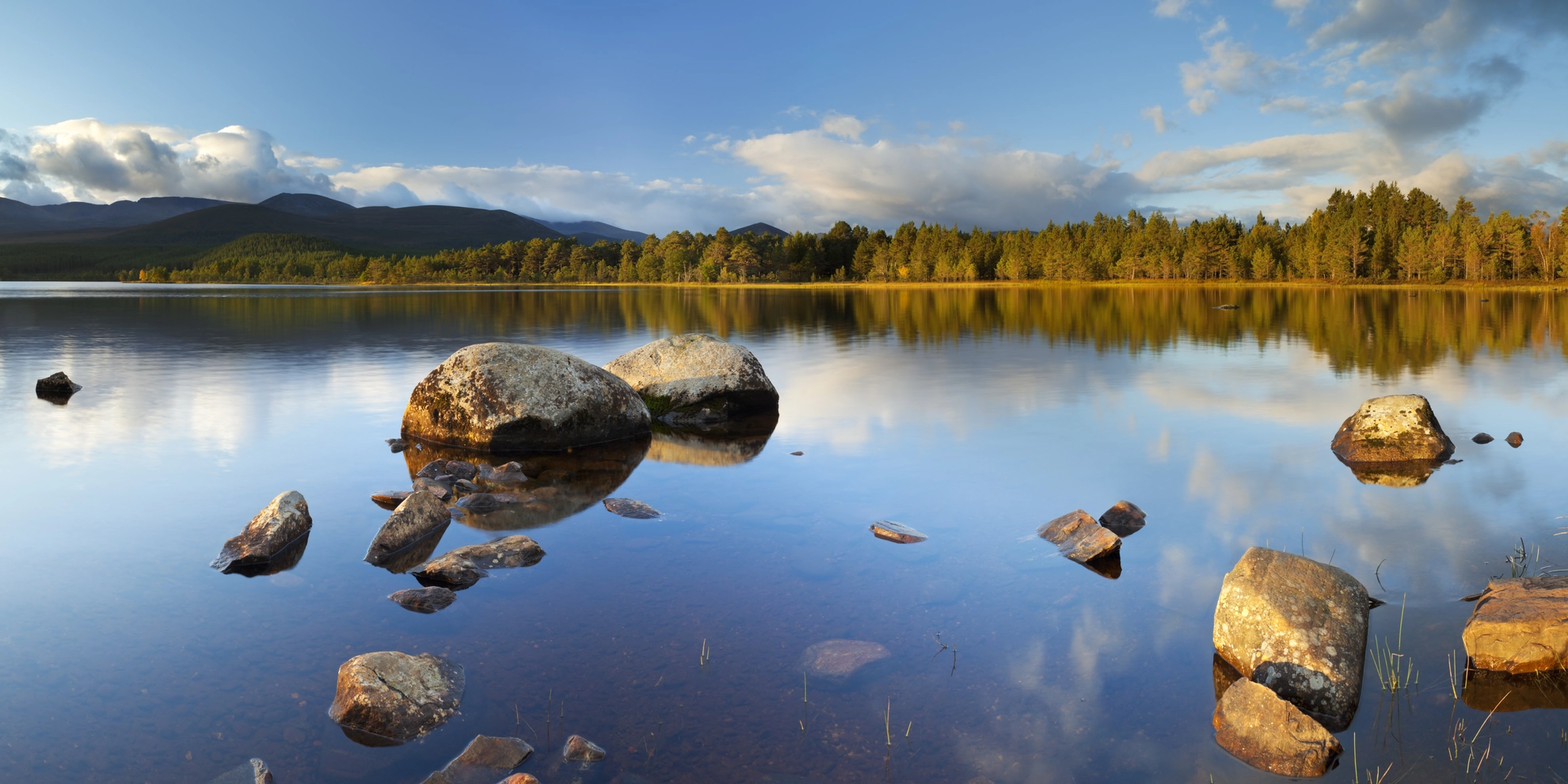 An image depicting the trail Loch Morlich Loop Trail and its surrounding area.