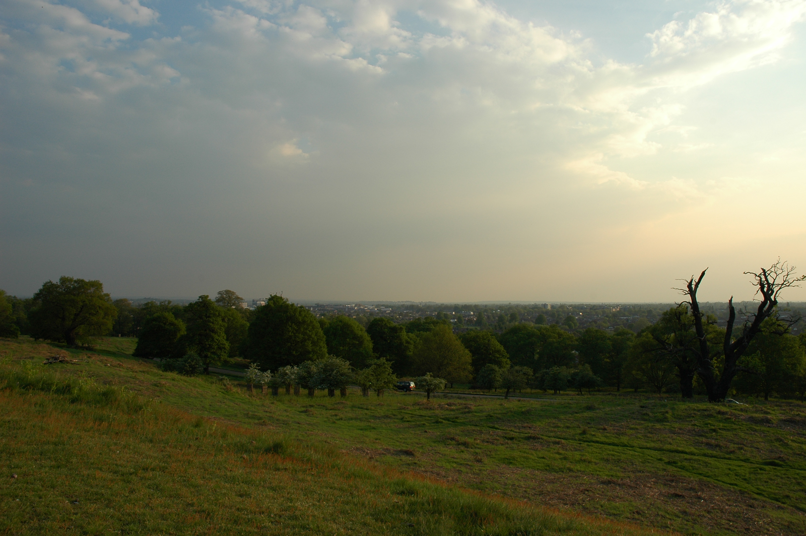 An image depicting the trail Thames Down Link and its surrounding area.
