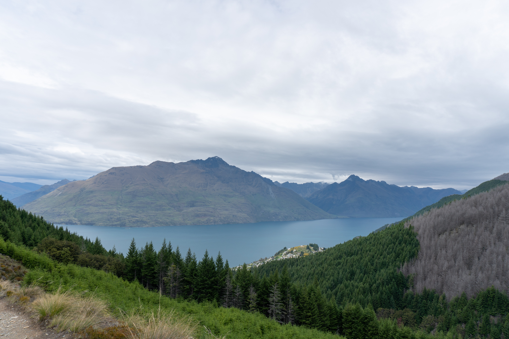 An image depicting the trail Ben Lomond Track and its surrounding area.