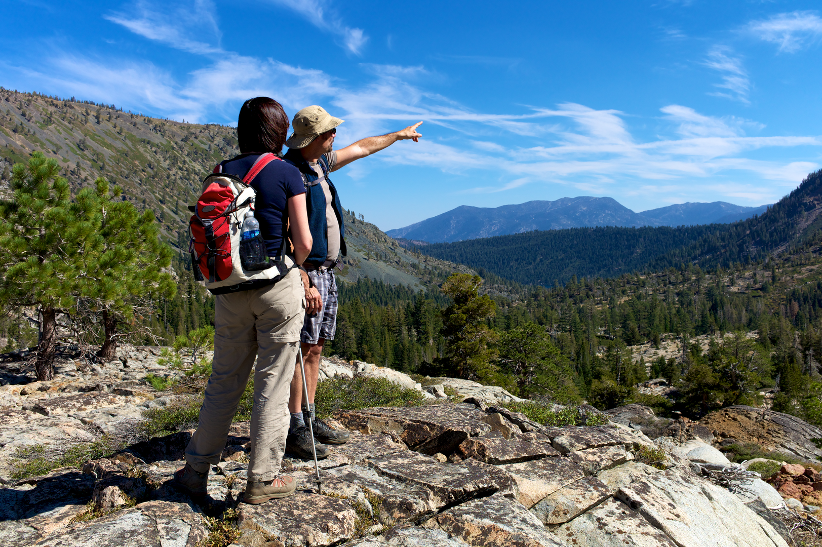 An image depicting the trail Tahoe Rim Trail and its surrounding area.