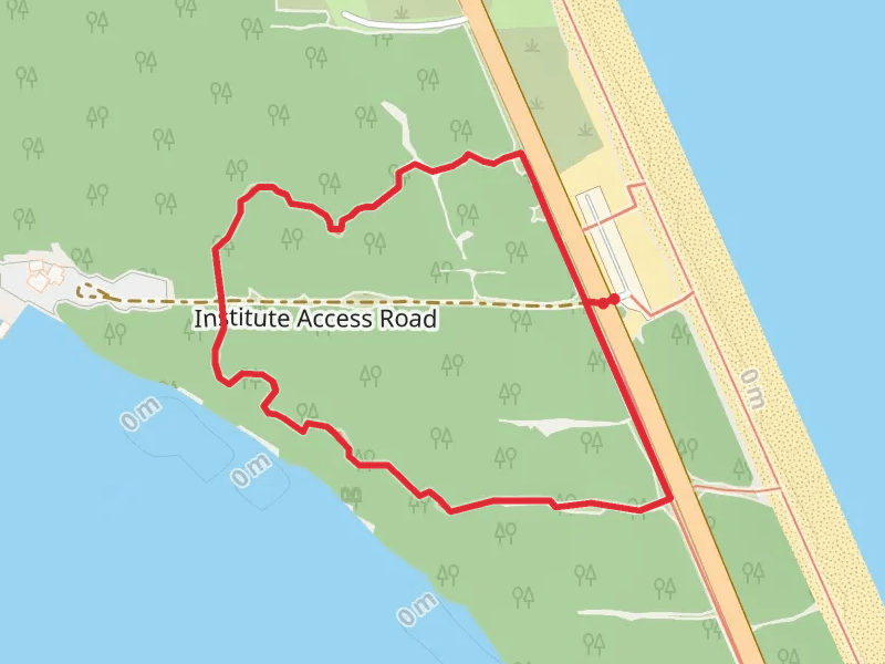 Loop beside Coconut Point