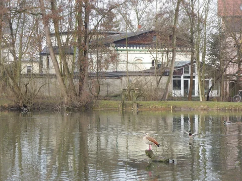 Ententeich, Schwaenchenteich and Levinscher Park Loop