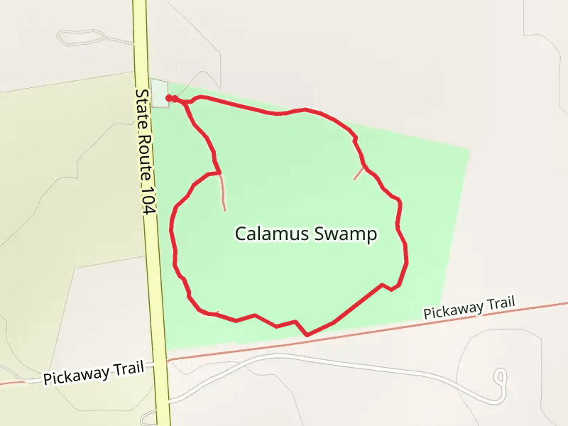 Calamus Swamp Loop