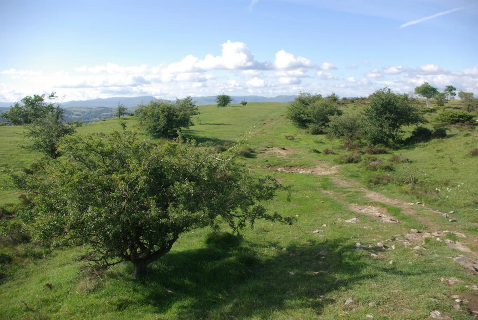 An image depicting the trail Scout Scar View Point Walk and its surrounding area.
