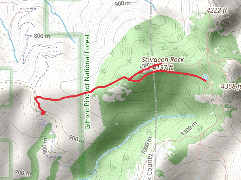 Sturgeon Trail