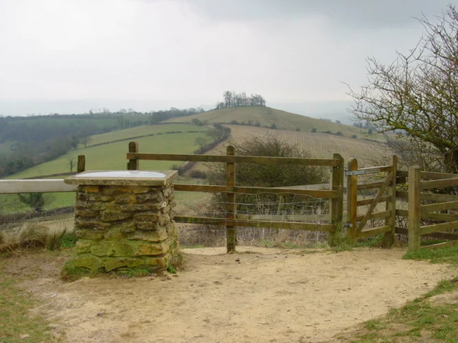 Pipley Wood, Prospect Stile and Kelston Round Hill Loop
