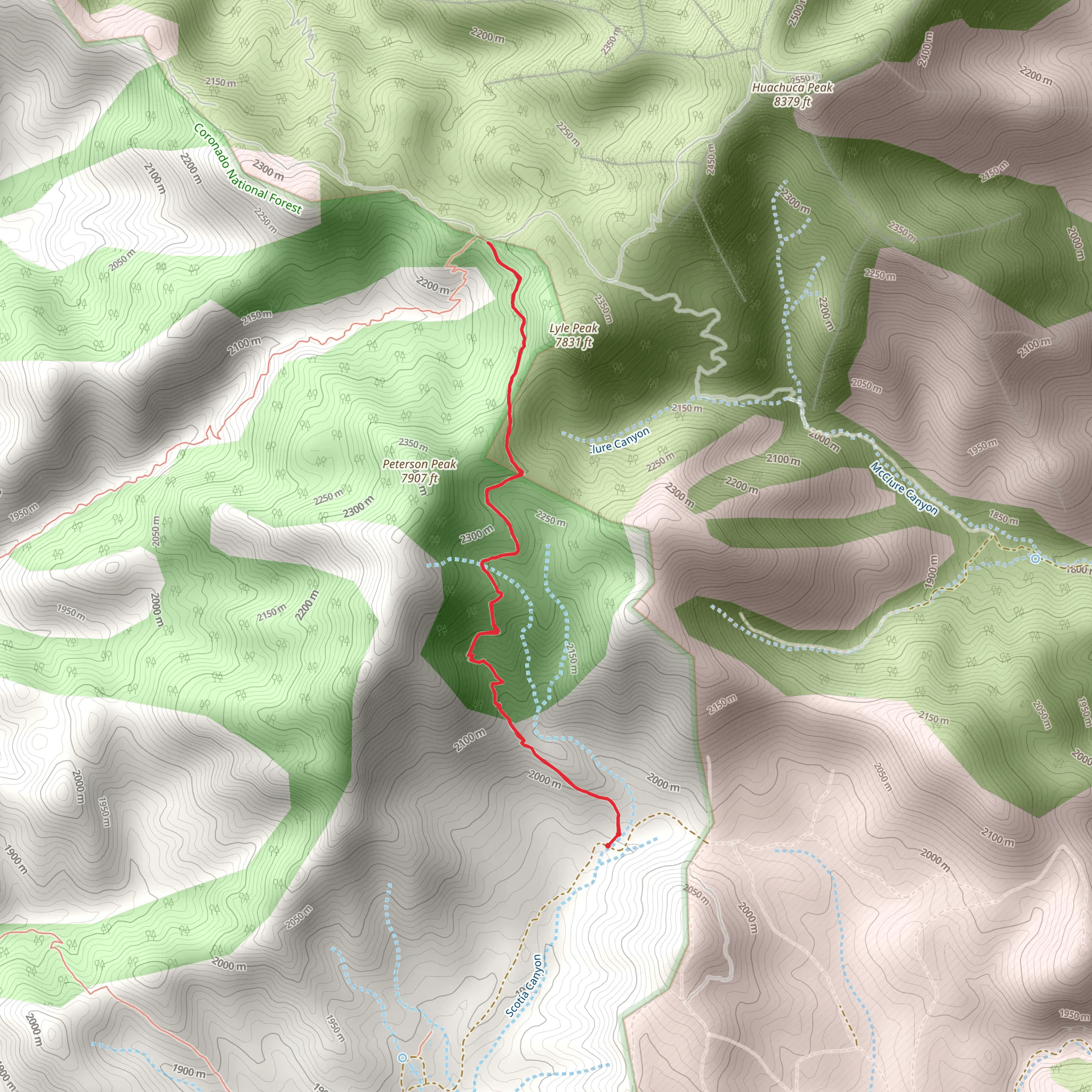 Peterson Peak Trail mobile static map