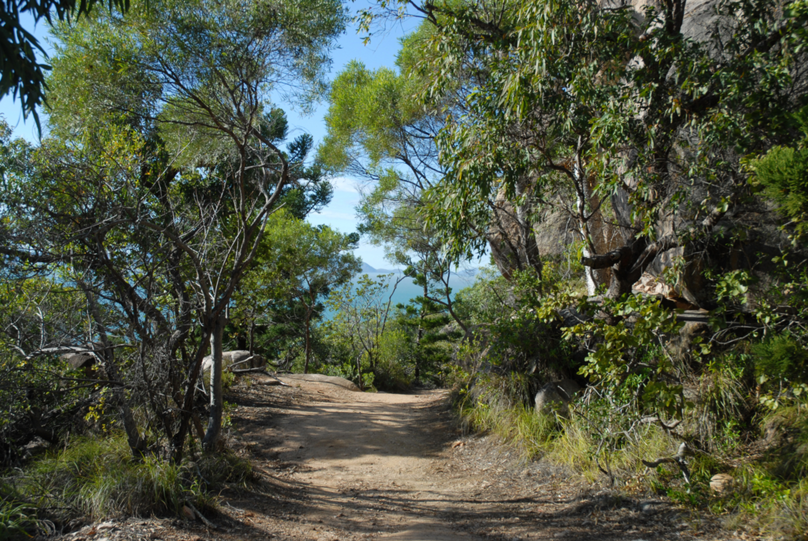 An image depicting the trail Forts Junction - Horseshoe Bay Track 1 and its surrounding area.