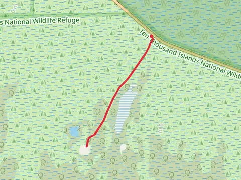 Marsh Trail Out and Back