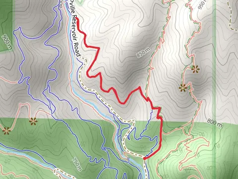 Siskiyou and Halls of Manzanita Trail