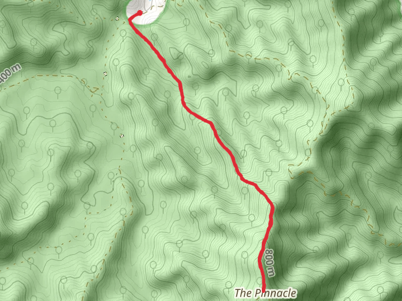 Pinnacle Walking Track