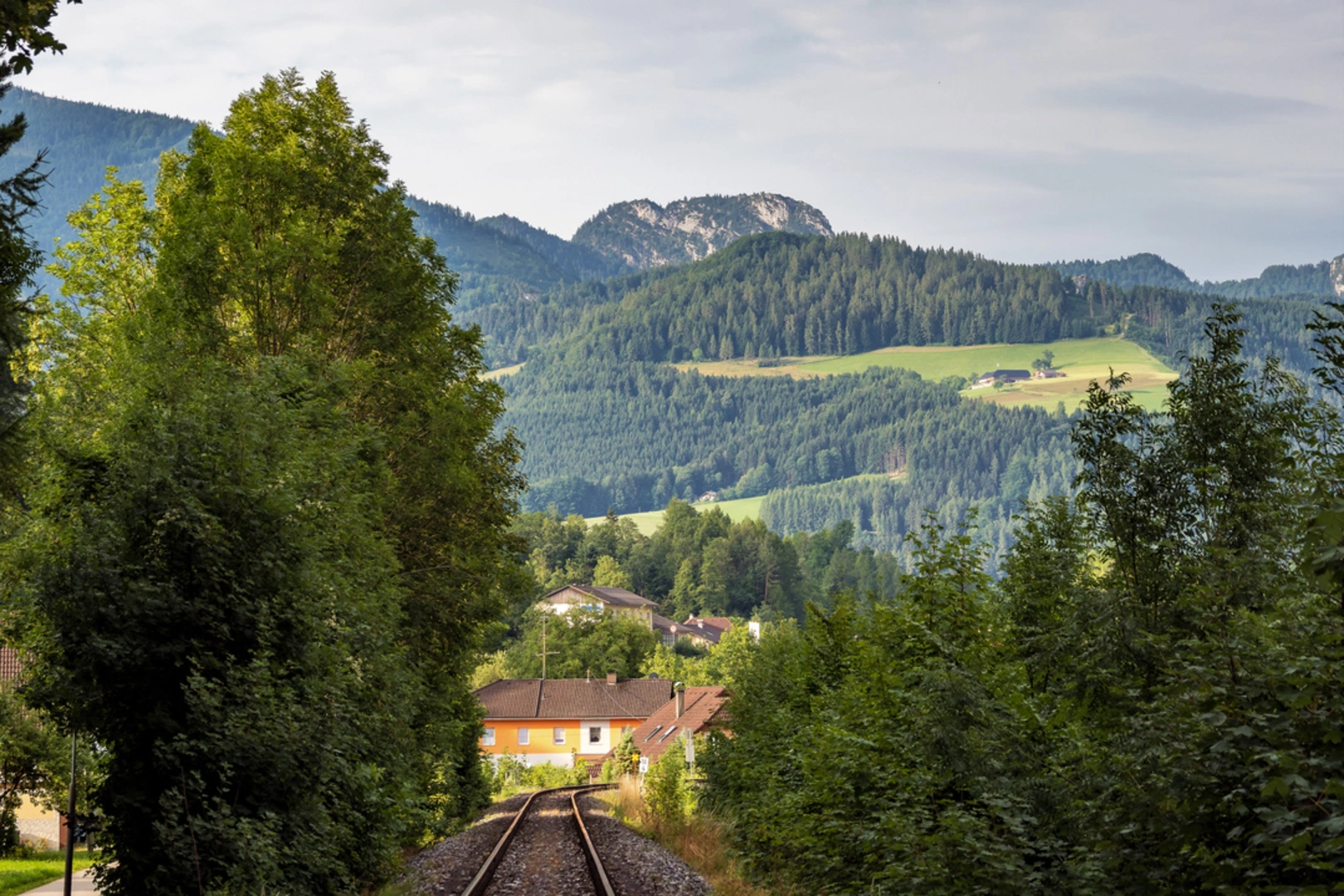 An image depicting the trail Cider Loop and its surrounding area.