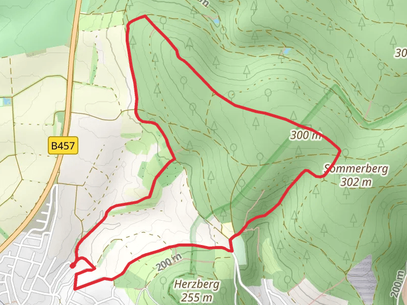 Lieblos and Oberwald Loop
