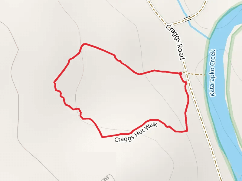 Cragg’s Hut Walk