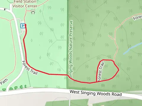 Forest Loop Trail