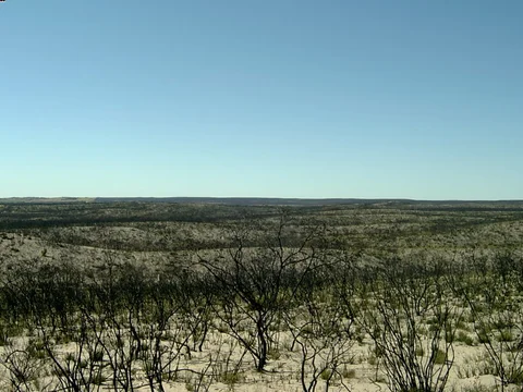 Tyms Lookout Walk