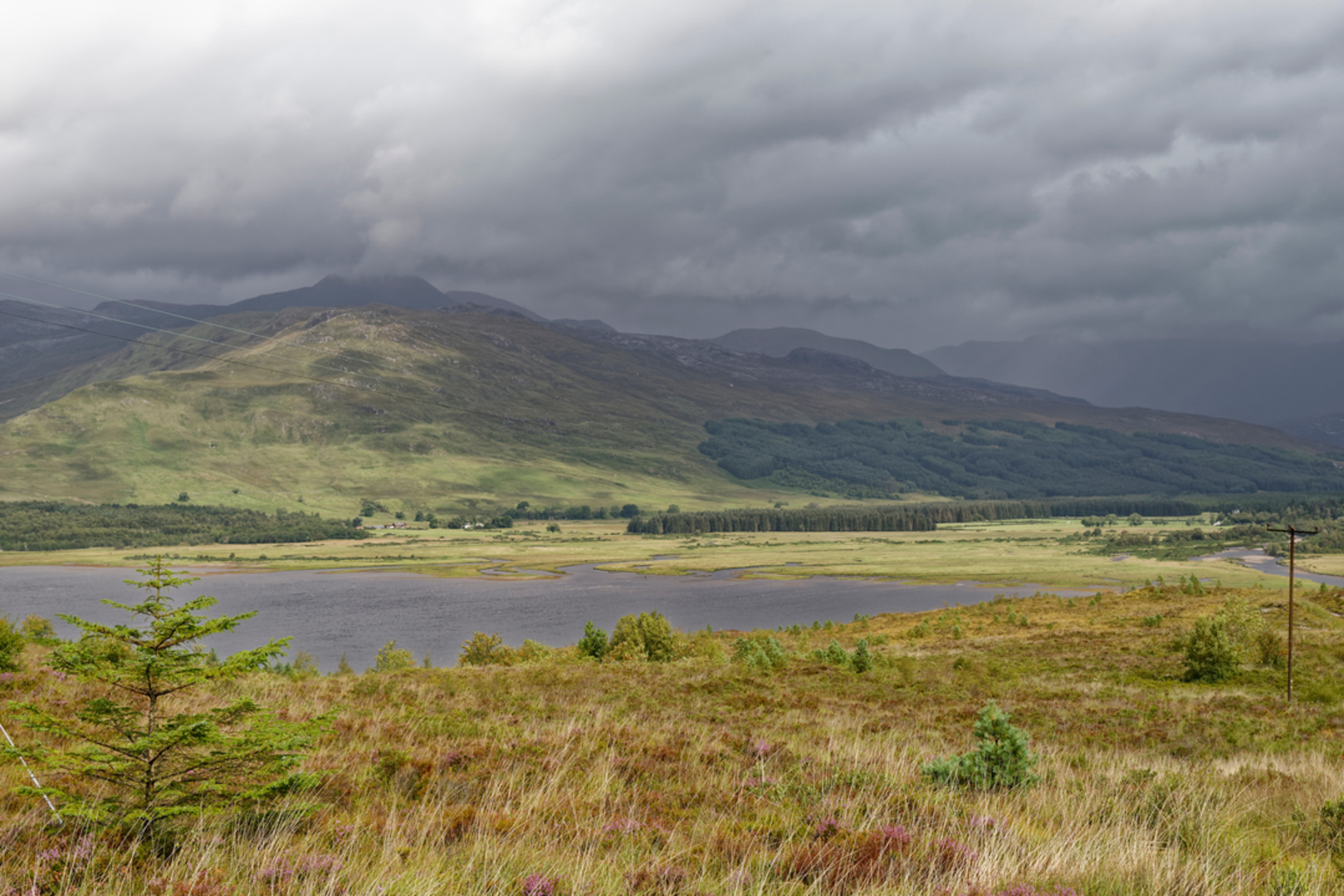 An image depicting the trail Beinn Dronaig and its surrounding area.