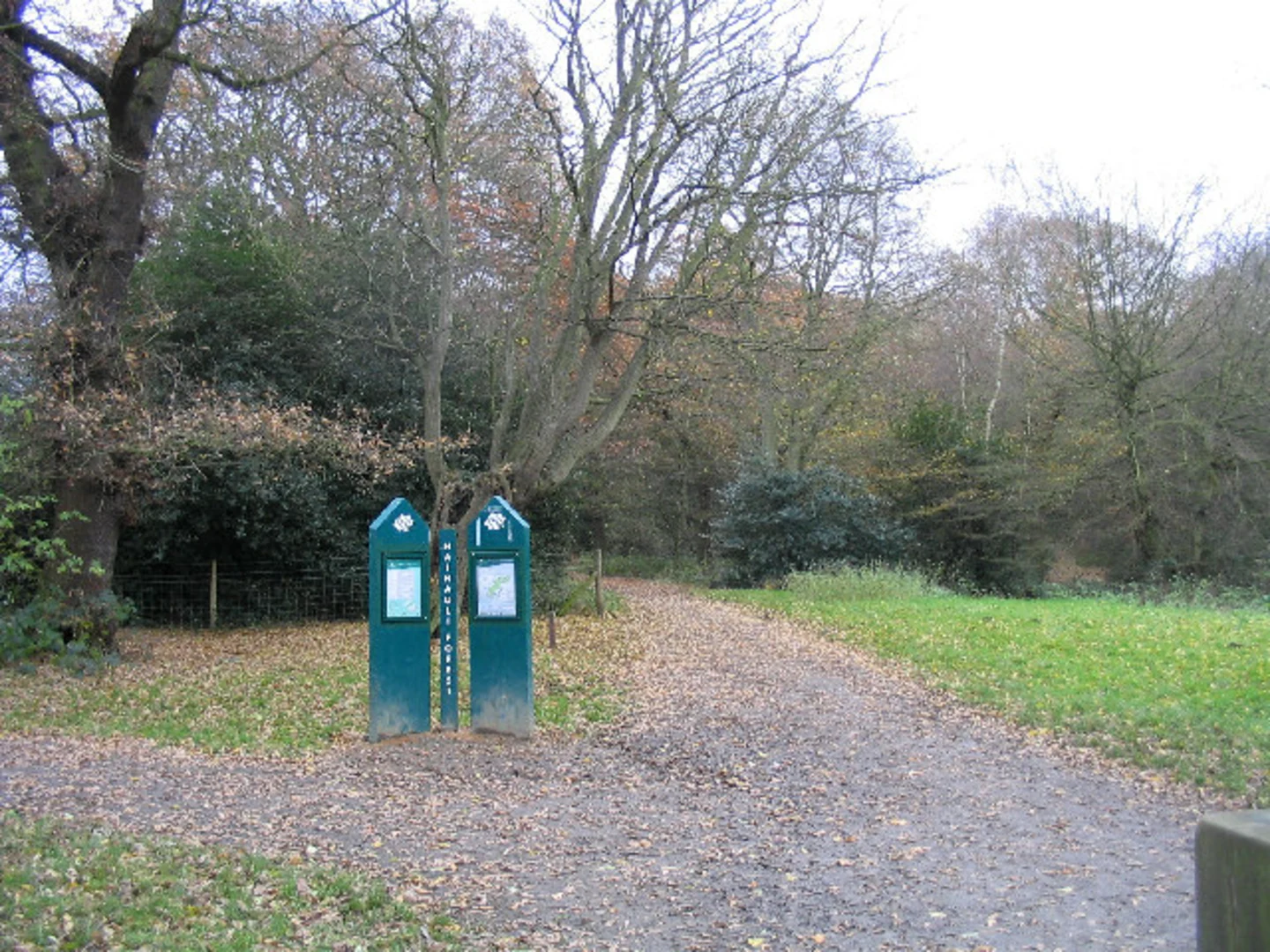 Boating Lake and Hainault Forest Loop | London | England