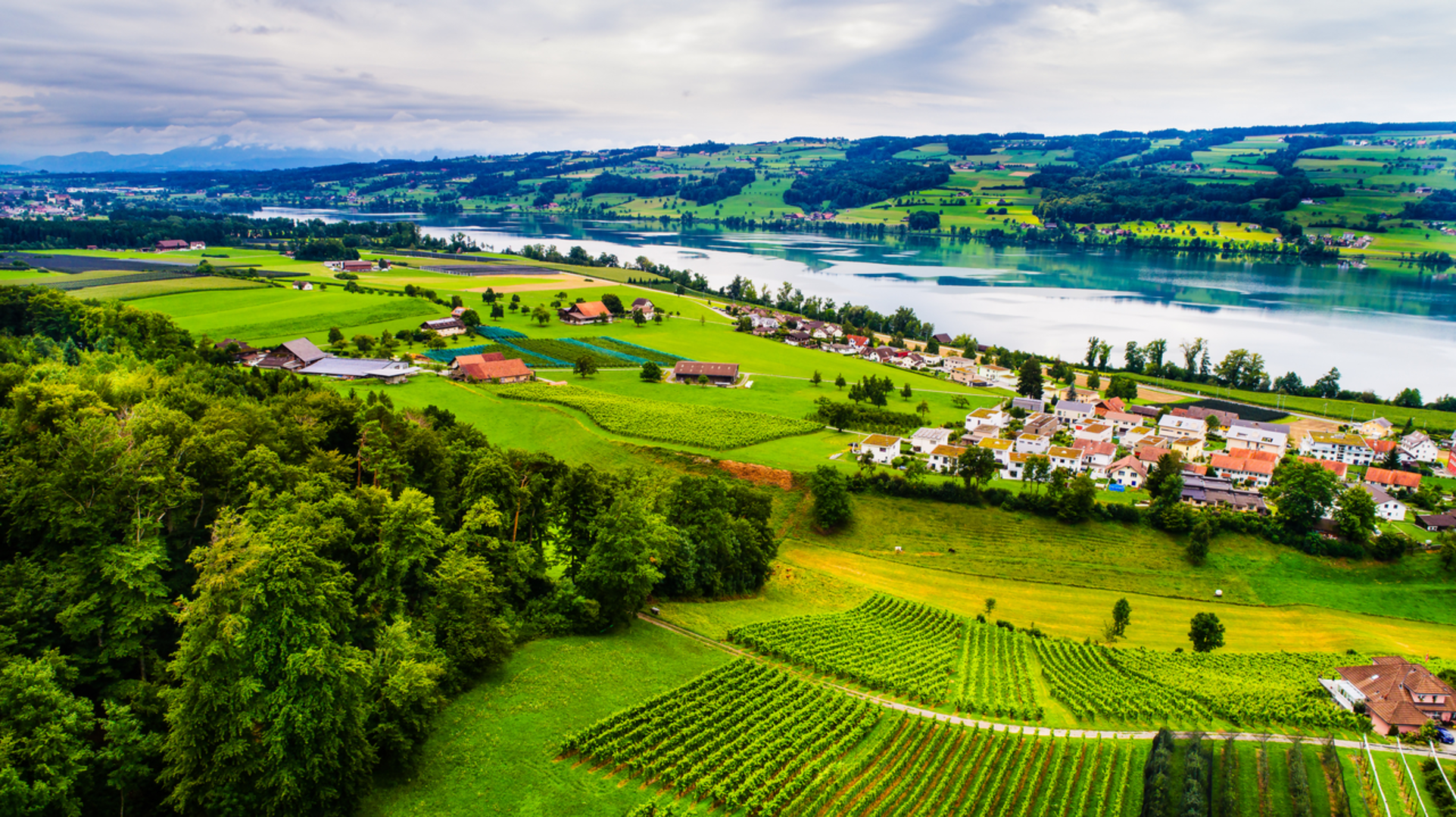 An image depicting the trail Hochdorf - Baldeggersee - Hitzkirch and its surrounding area.