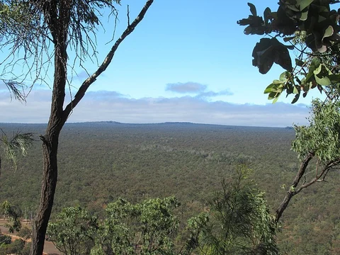Rosella Plains Lookout Trail