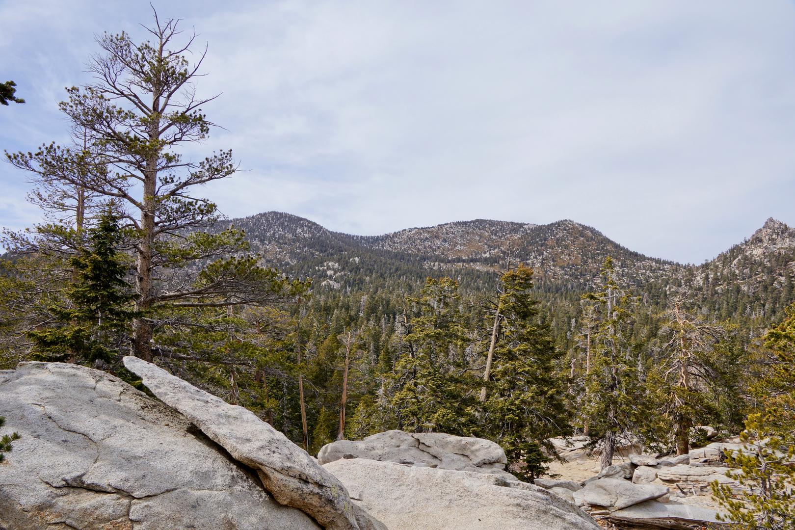 An image depicting the trail Deer Springs Trail, PCT and Round Valley Trail and its surrounding area.