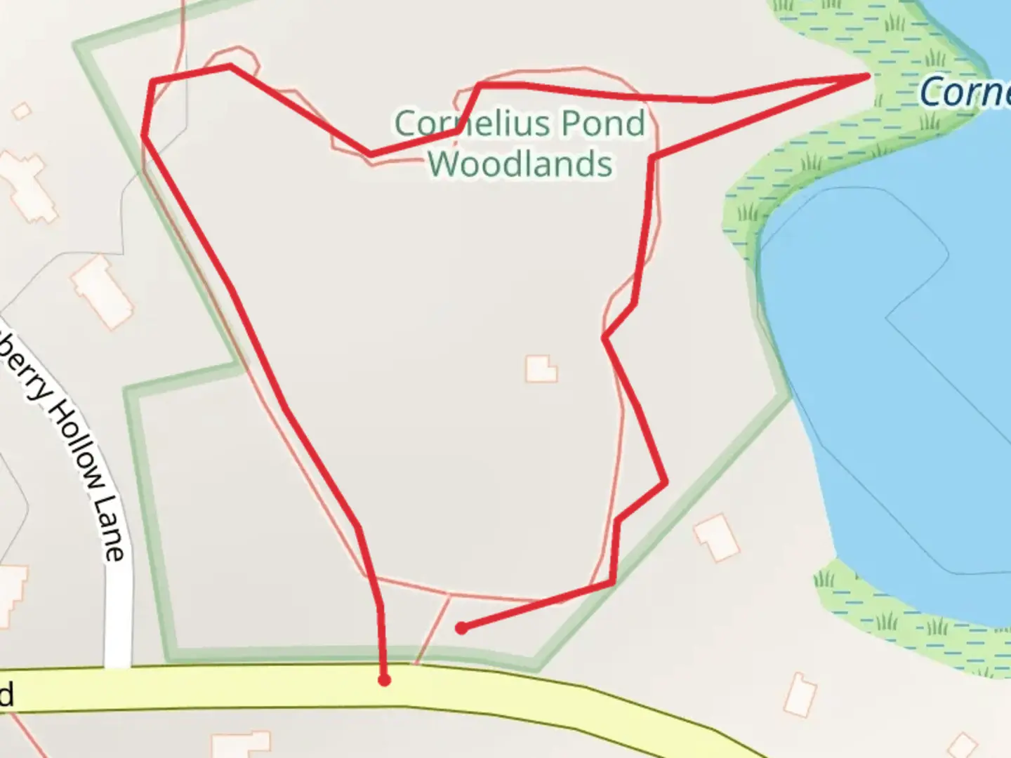 An image depicting the trail Cornelius Pond Loop - West and its surrounding area.