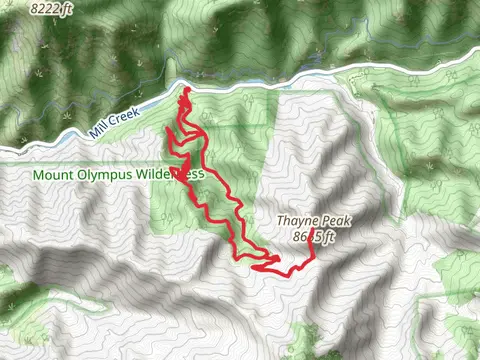 Thayne Peak via Desolation Trail and Thayne Canyon Trail