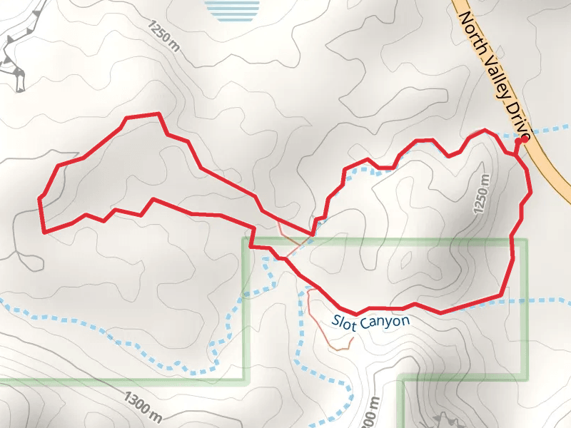 Slot Canyon Loop