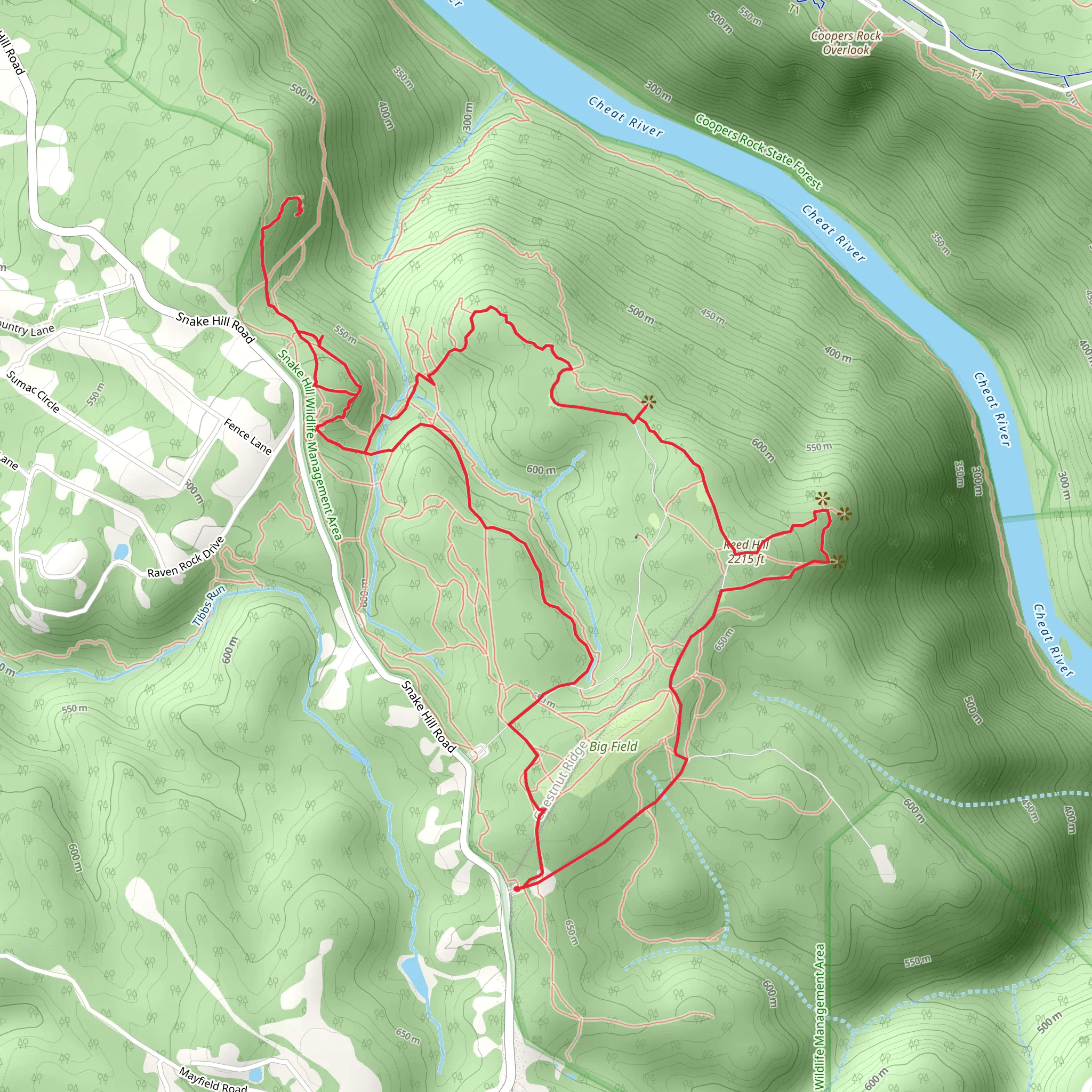 Reed Hill and Ridge Loop Trail mobile static map