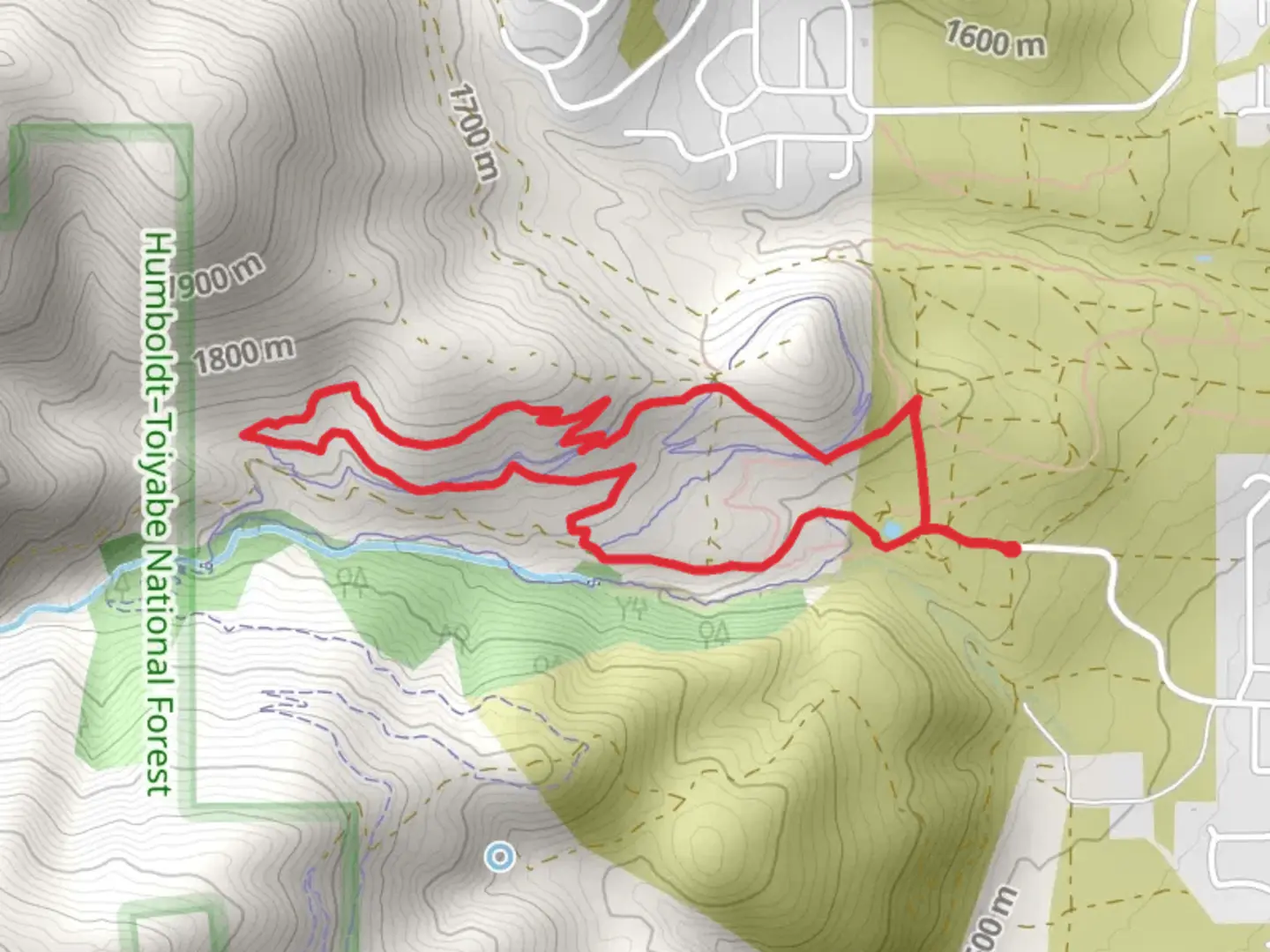 An image depicting the trail Baldy Green and Evidence Loop and its surrounding area.