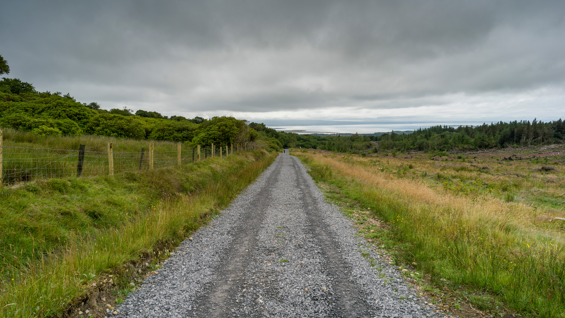 An image depicting the trail Grange - Crag Loop and its surrounding area.