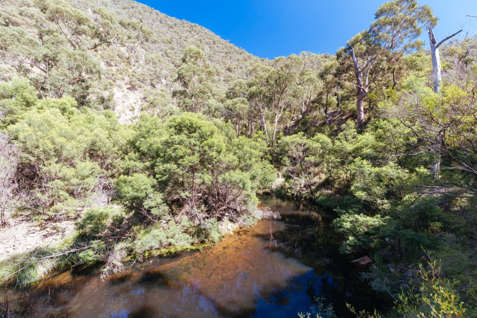 An image depicting the trail Lerderderg Gorge Walk to Grahams Dam Trail and its surrounding area.