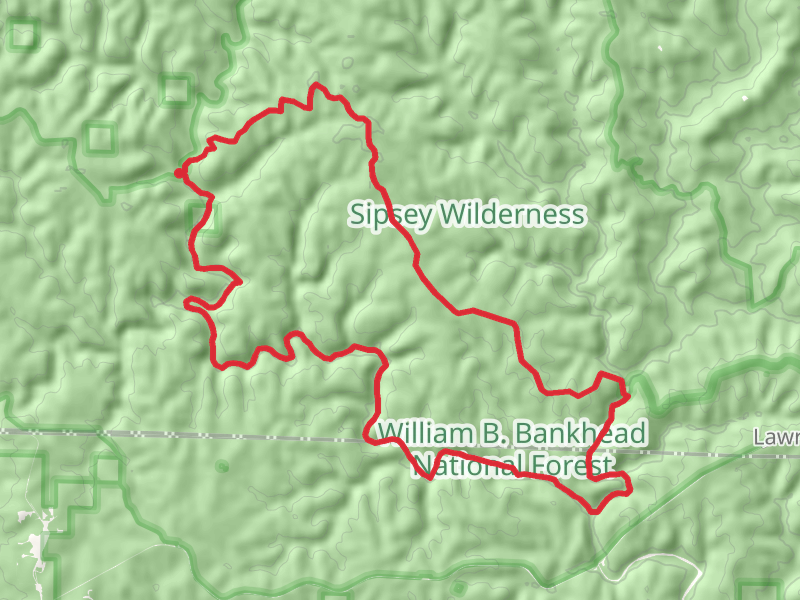 Borden Creek Wild Hiking and Sipsey Wild Hiking Loop Trail